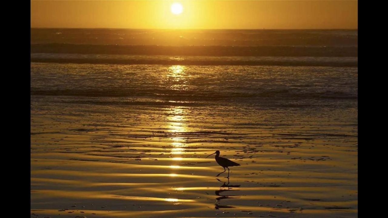 Camping De La Mer Camiers Zewnętrze zdjęcie